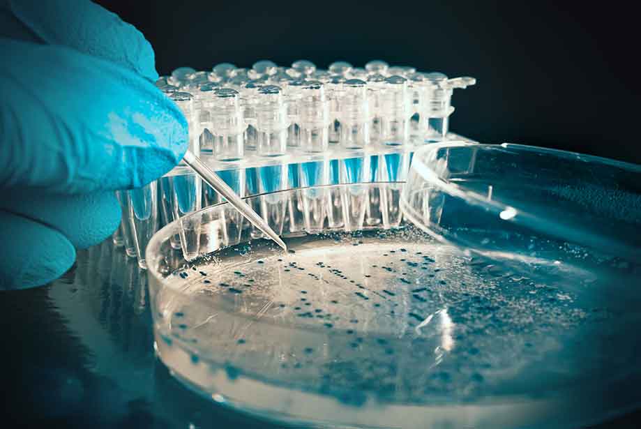 Mouse tissue array, 18 types of mouse