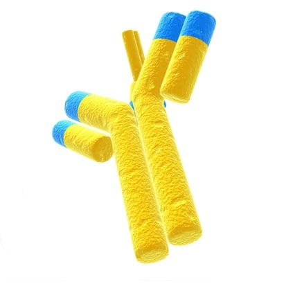 Silane-PEG-MAL