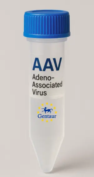 CDC45 AAV Vector (Mouse) (CMV)