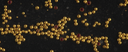 Organic Gold Nanoparticles, 150 nm