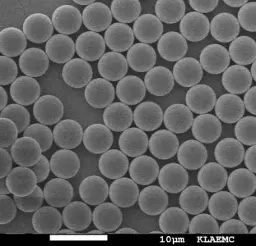 PLA Magnetic Particles, 30 um