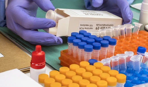 [71-YCC410-436] Polio Virus Type 2, Sabin strain, native