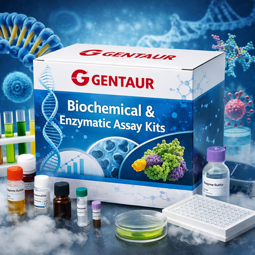 [MA-0394] Phosphatidylethanolamine Assay