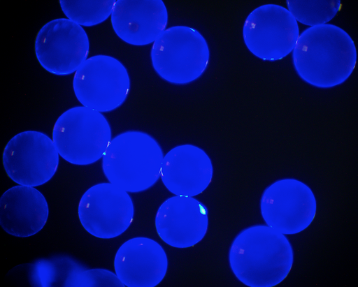 [AFB-3000-Biotin] Blue PS Fluorescent Particles, 30 um-Biotin